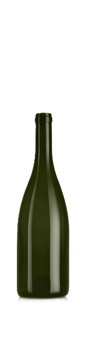 BOTTIGLIA BORGOGNA PRESTIGE 750 ML VERDETRUSCO CETIE  